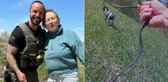 85-jährige vermisste Frau wird dank Polizeihund in Schlucht gefunden – „Als würde man einem Navy Seal bei der Bergung zusehen“